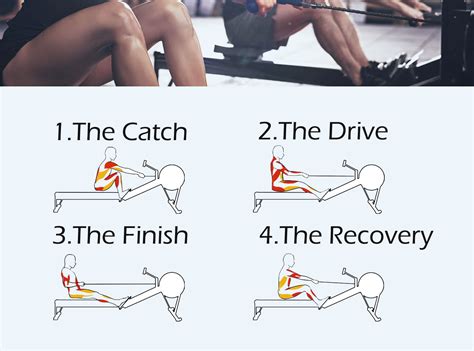 rowing good exercise for core